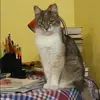Отзыв от Людмила Корнеева